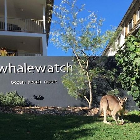 Whale Watch Ocean Beach Resort Point Lookout Dış mekan fotoğraf